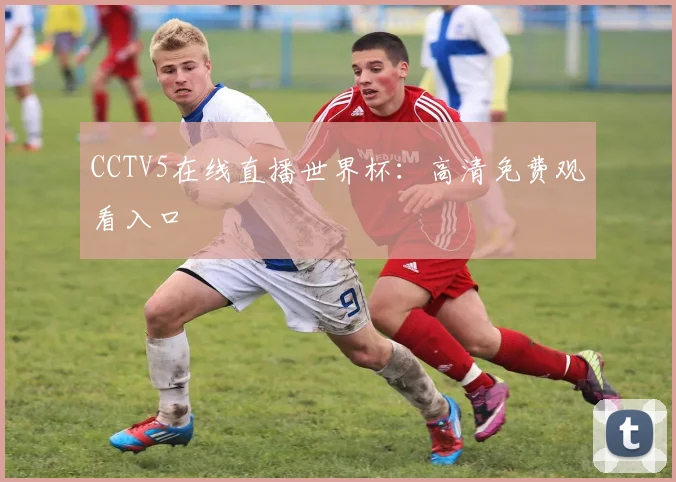 CCTV5在线直播世界杯：高清免费观看入口