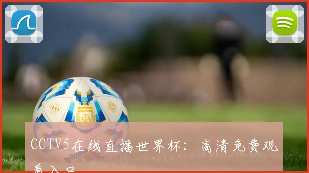 CCTV5在线直播世界杯：高清免费观看入口