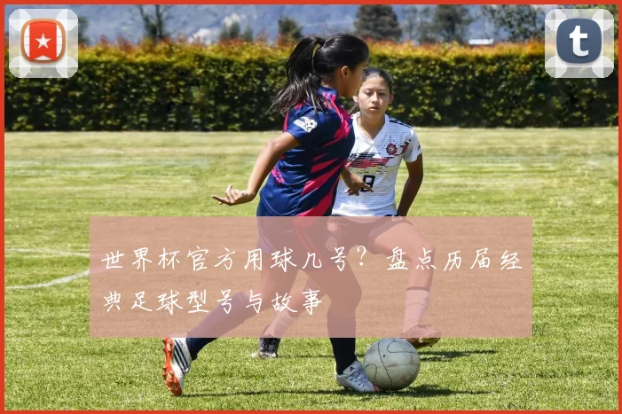 世界杯官方用球几号？盘点历届经典足球型号与故事