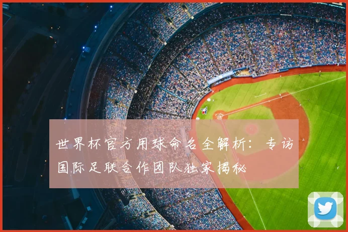 世界杯官方用球命名全解析：专访国际足联合作团队独家揭秘