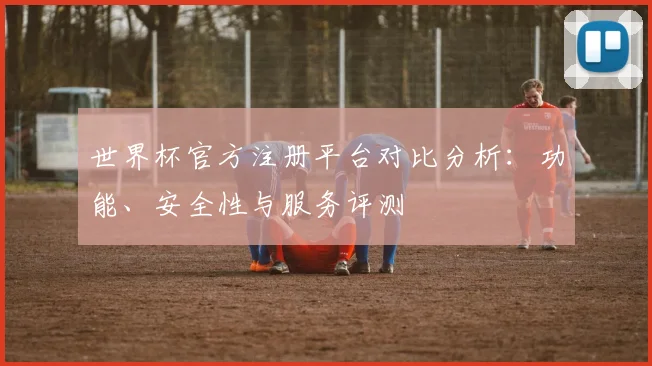 世界杯官方注册平台对比分析：功能、安全性与服务评测